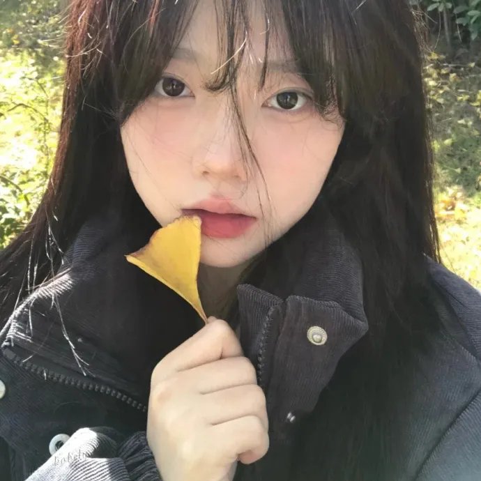 落花时节国语
